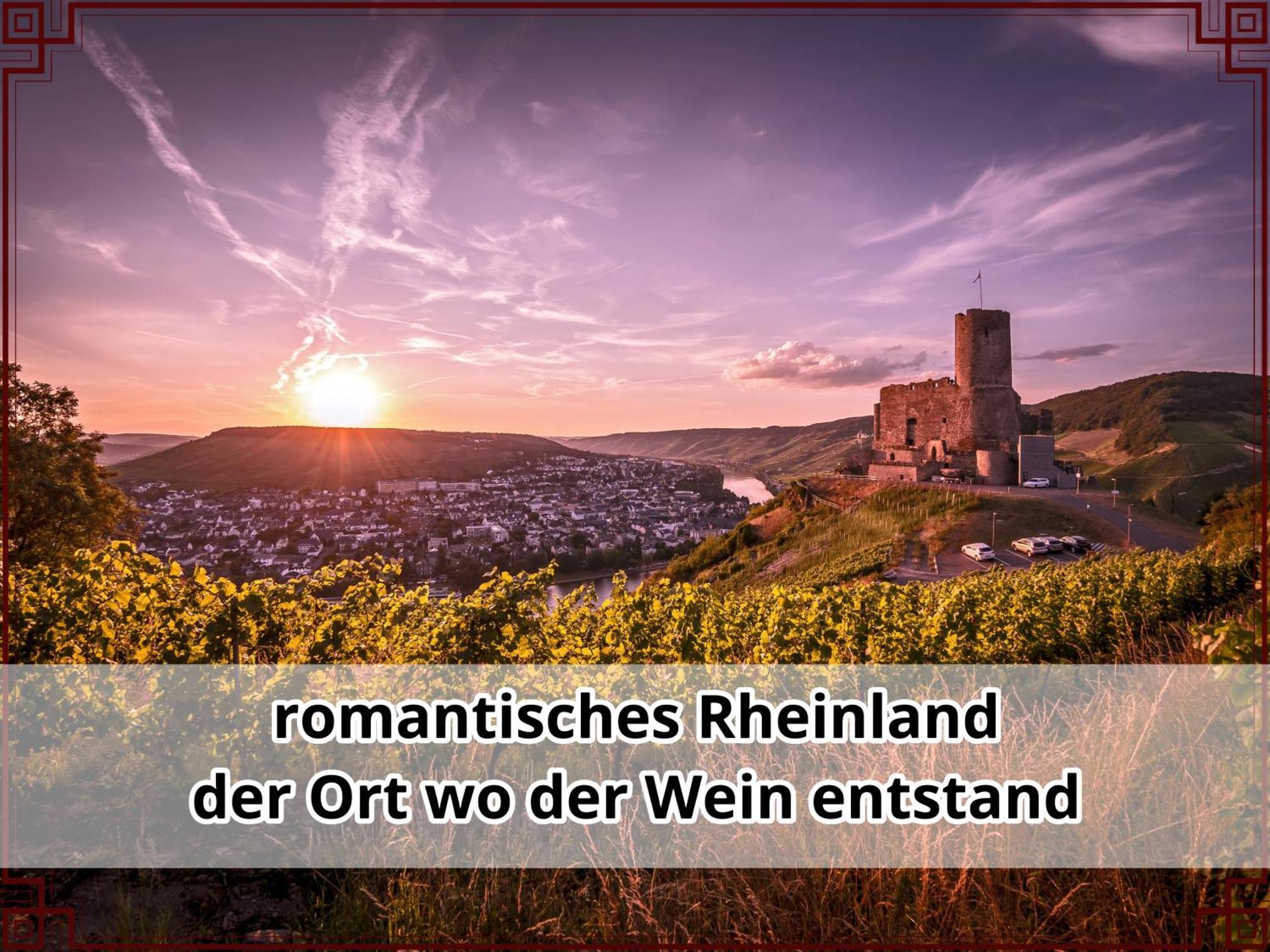 Smallsaigon Apartment Mit Guter Anbindung Zwischen Mosel Und Rhein Leiningen المظهر الخارجي الصورة